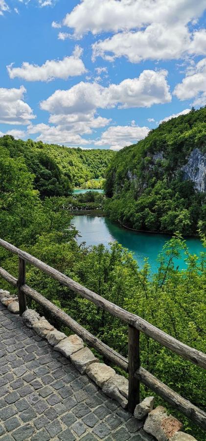 Apartman Nina Licko Petrovo Selo エクステリア 写真